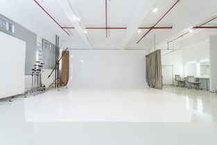 专业摄影服务全解析 从婚纱到家庭，捕捉每一刻珍贵时光